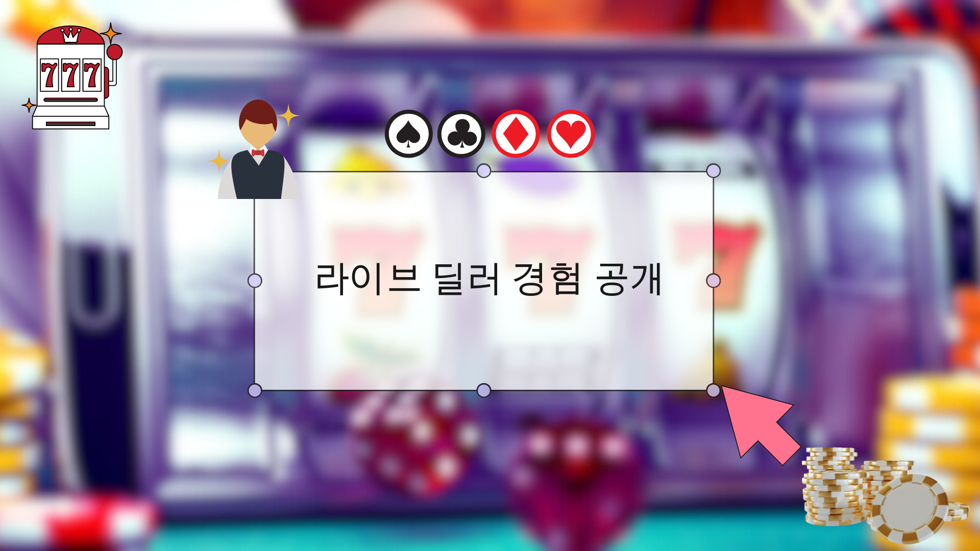 라이브 딜러 경험 공개